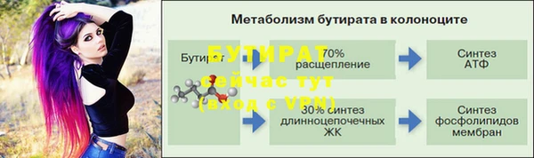 МДПВ Дмитриев